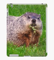 Groundhog iPad Case/Skin