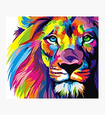 Lion Pride Photographic Print