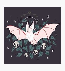 Lámina fotográfica Familiar - Desert Long Eared Bat