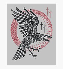 RAGNAR'S RAVEN Photographic Print