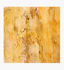 Marblelike Photographic Print