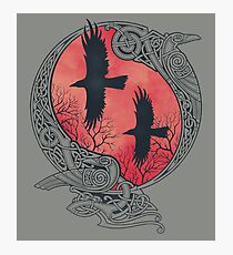 HUGIN&MUNIN Photographic Print