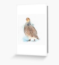 Partridge Greeting Card
