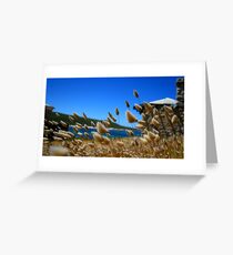 Cape Leuwin Greeting Card