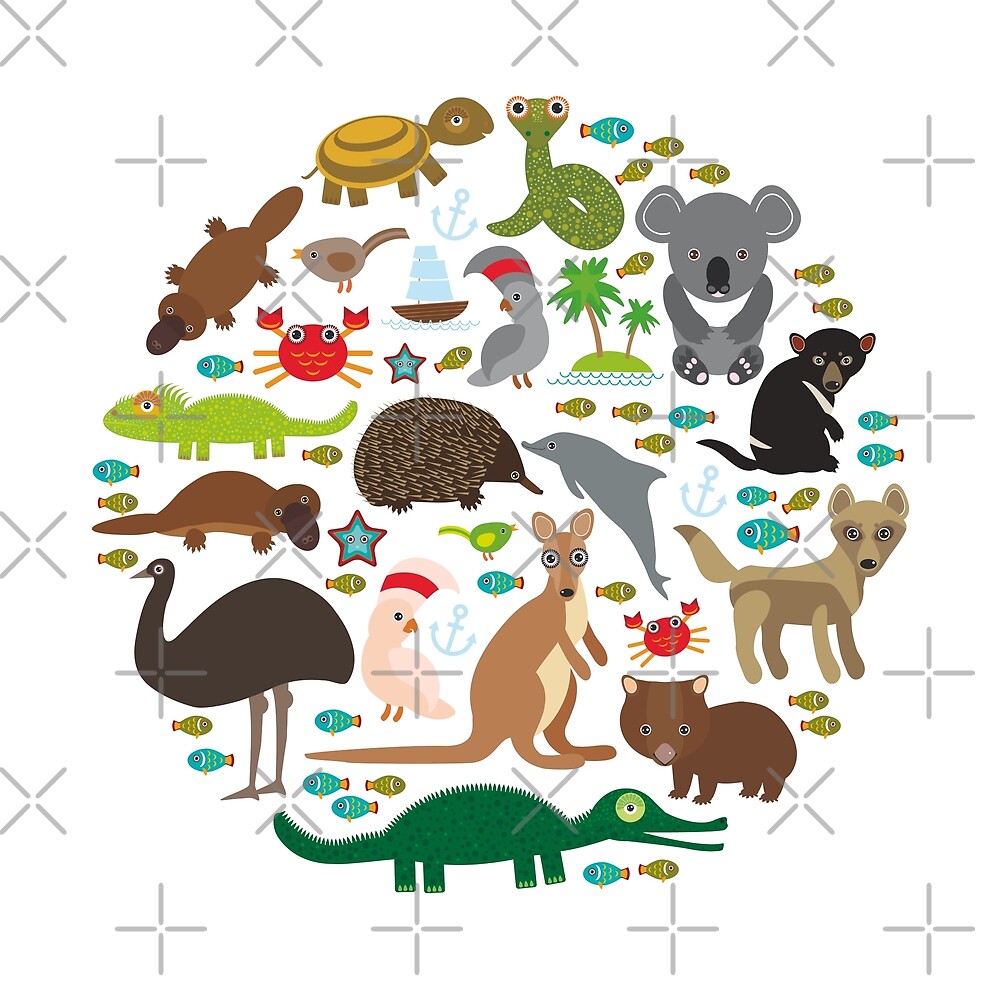 "Animals Australia: Echidna Platypus ostrich Emu Tasmanian devil ...