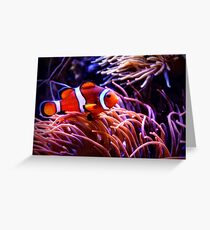 Clownfish and Anemone Greeting Card