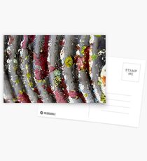 Layers Postcards