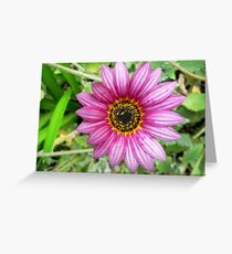 Bloom Greeting Card