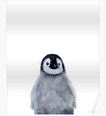 Little Penguin Poster