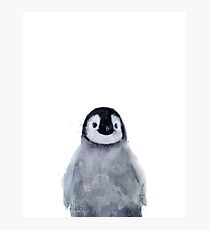 Kleiner Pinguin Fotodruck