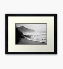 Gannets on Muriwai Beach. Framed Print