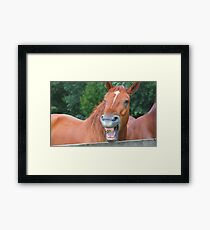 Horse humour........ Framed Print