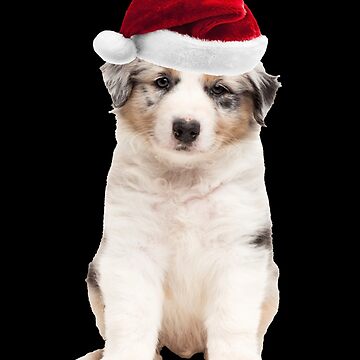 Australian Shepherd Puppy Cute Santa Hat Funny Christmas Dog