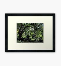 Urban Landscape Framed Print