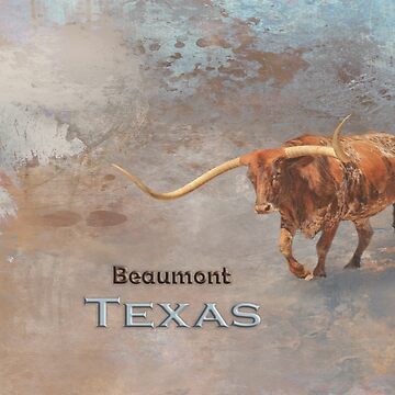 Longhorn Bull Beaumont