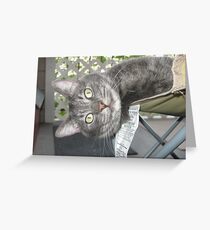 Curiousity Greeting Card