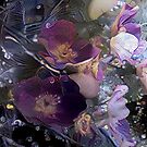 Fairy Rose by owlspook