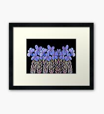 Perfect Pastels - Eremophila Veronica Framed Print