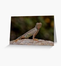 Greater Earless Lizard Greeting Card