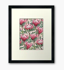 Lámina enmarcada Painted King Proteas en crema