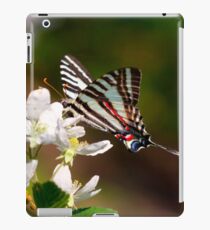 Zebra Swallowtail iPad Case/Skin