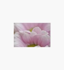 Flower macro Art Board
