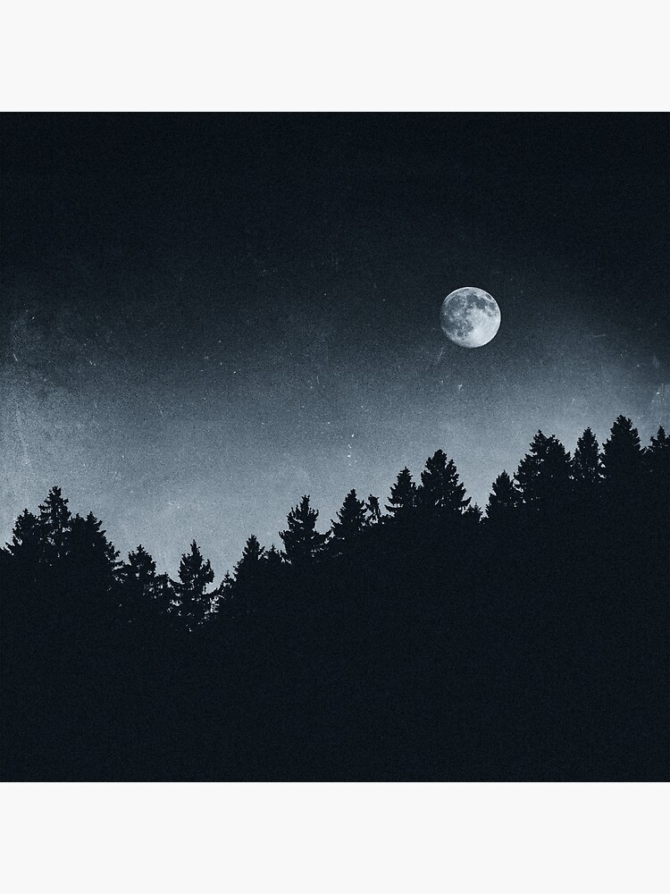 Under Moonlight by tekay