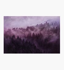 Excuse Me, I'm Lost // Laid Back Edit Photographic Print