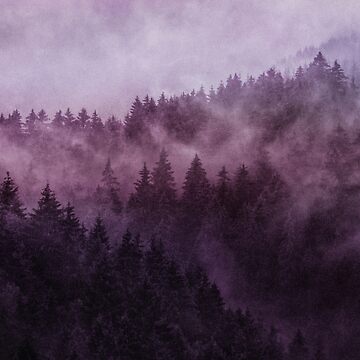 Artwork thumbnail, Excuse Me, I'm Lost // Laid Back In A Misty Foggy Raspberry Wilderness Romantic Cascadia Trees Forest Covered In Purple Magic Fog by tekay
