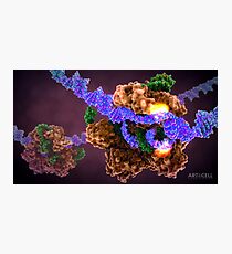 CRISPR Cas9 Gene Editing Photographic Print