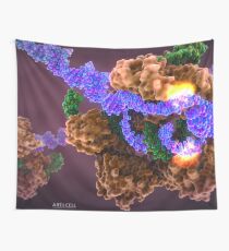 CRISPR Cas9 Genbearbeitung Wandbehang