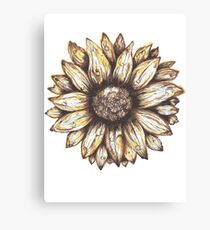 Sunflower Canvas Print