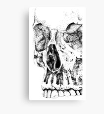 Pointillism Skull Canvas Print