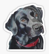 Pegatina Indi el labrador negro