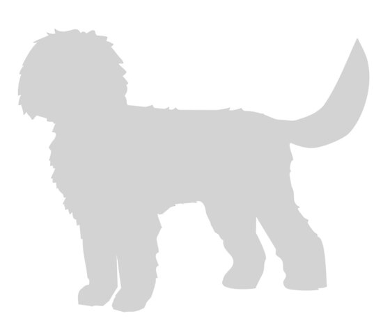 labradoodle car sticker