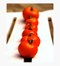 Tomatoes Photographic Print