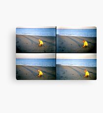 lomo fun in the afternoon sun Canvas Print