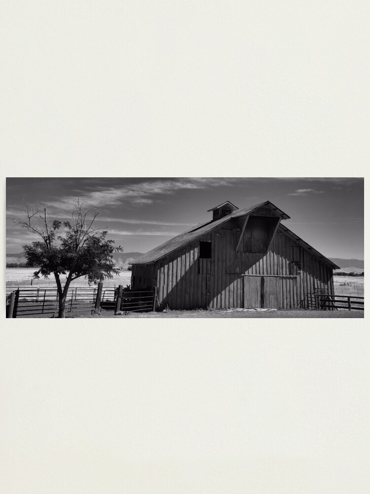 Alternate view of A Black & White World Photographic Print