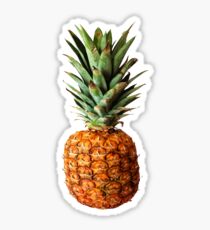 Pineapple Vector Sticker