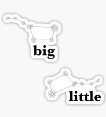 Big Dipper and Lil Dipper Sticker