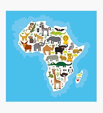 Animal Africa Continent Photographic Print