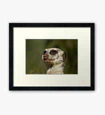 I can see your house from here Framed Print