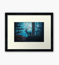 Blue Forest Framed Print