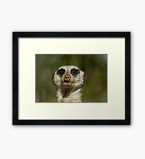 Can I borrow a tissue Framed Print