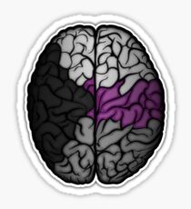 Demisexual Brain Sticker