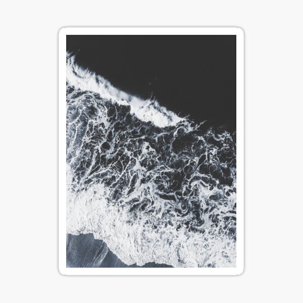 Sea lace Sticker