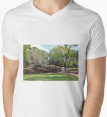 Scenic Pond Men's V-Neck T-Shirt