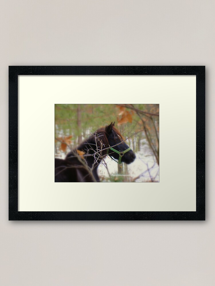 Alternate view of My Beauty Framed Art Print