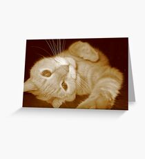 Playful Greeting Card