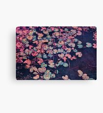 Secret Pond Canvas Print